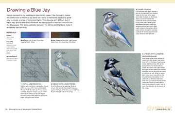 Drawing The Joy Of Nature With Colored P - Lee Hammond [KSIĄŻKA]