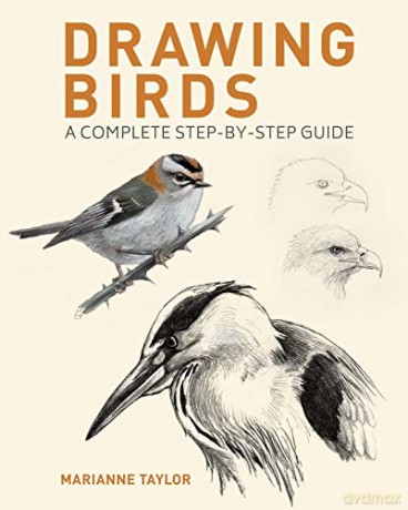 Drawing Birds - Marianne Taylor [KSIĄŻKA]