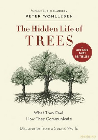 Hidden Life Of Trees - Peter Wohlleben [KSIĄŻKA]