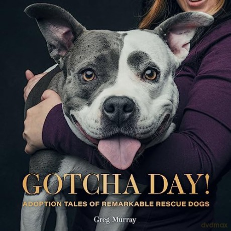 Gotcha Day - Greg Murray [KSIĄŻKA]