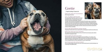 Gotcha Day - Greg Murray [KSIĄŻKA]