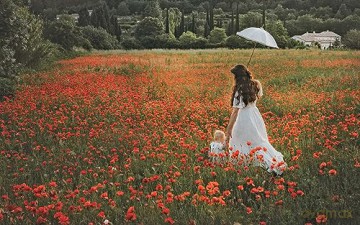 Flowers Of Provence - Jamie Beck [KSIĄŻKA]