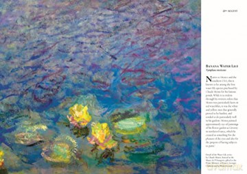 A Flower A Day - Janatka Miranda [KSIĄŻKA]