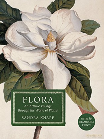 Flora - Sandra Knapp [KSIĄŻKA]