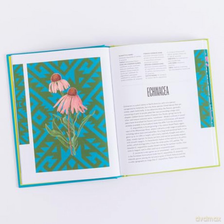Ethnobotanical - Sarah Edwards [KSIĄŻKA]