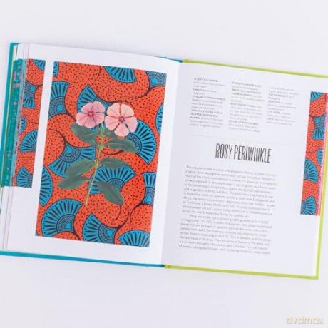 Ethnobotanical - Sarah Edwards [KSIĄŻKA]