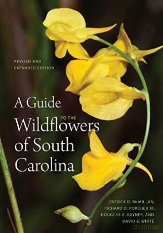 A Guide To The Wildflowers Of South Caro - Mcmillan Porcher R [KSIĄŻKA]