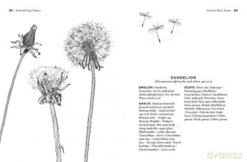 Dictionary Of Scottish Plant Names - Gregory Kenicer [KSIĄŻKA]