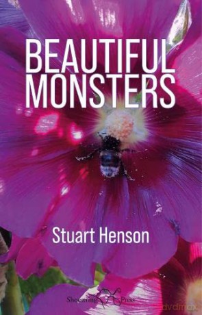 Beautiful Monsters - Stuart Henson [KSIĄŻKA]