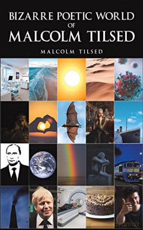 Bizarre Poetic World Of Malcolm Tilsed - Malcolm Tilsed [KSIĄŻKA]
