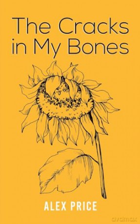 Cracks In My Bones - Alex Price [KSIĄŻKA]