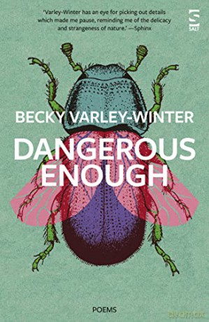 Dangerous Enough - Becky Varley-Winter [KSIĄŻKA]