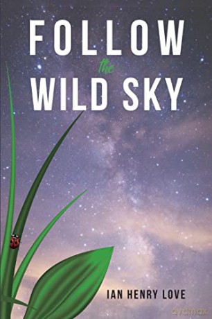 Follow The Wild Sky - Ian Henry Love [KSIĄŻKA]