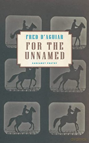 For The Unnamed - Fred D'aguiar [KSIĄŻKA]
