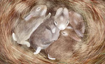 Hope Is A Hop - Katrina Moore [KSIĄŻKA]