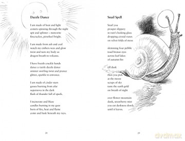Big Amazing Poetry Book - Chris (Ill) Riddell [KSIĄŻKA]