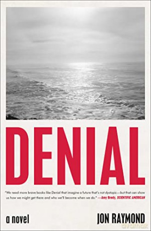 Denial - Jon Raymond [KSIĄŻKA]