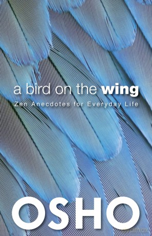 Bird On Wing Zen Anecdotes Everyday Lp [KSIĄŻKA]