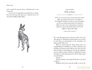 Dog Lessons - Hersch Wilson [KSIĄŻKA]