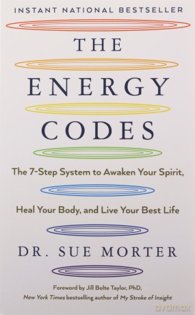 Energy Codes - Sue Morter [KSIĄŻKA]