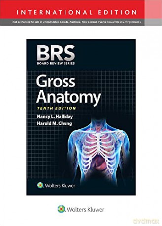 Brs Gross Anatomy - Nancy Halliday [KSIĄŻKA]