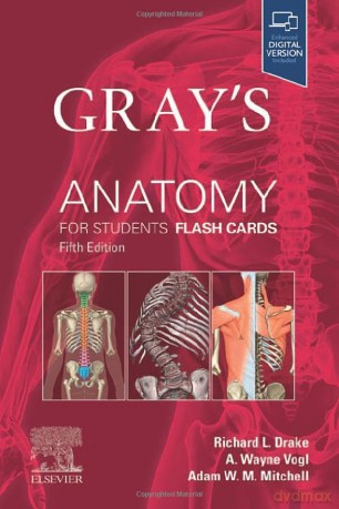 Grays Anatomy For Students Flash Cards - Richard Drake [KSIĄŻKA]