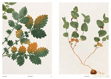 Capturing Nature - Matthew Zucker [KSIĄŻKA]