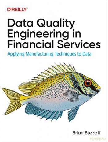 Data Quality Engineering In Financial S - Brian Buzzelli [KSIĄŻKA]