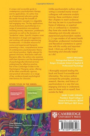Cambridge Guide To Psychodynamic Psycho - Polnay Adam [KSIĄŻKA]