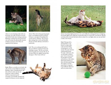 Being Your Cat - Celia Haddon [KSIĄŻKA]