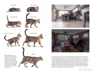 Being Your Cat - Celia Haddon [KSIĄŻKA]