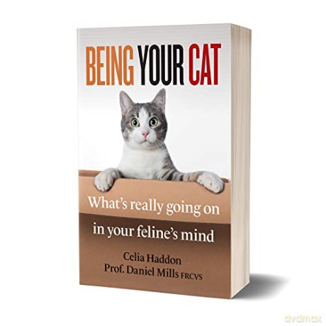 Being Your Cat - Celia Haddon [KSIĄŻKA]