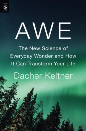 Awe - Dacher Keltner [KSIĄŻKA]
