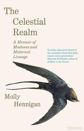 Celestial Realm - Molly Hennigan [KSIĄŻKA]