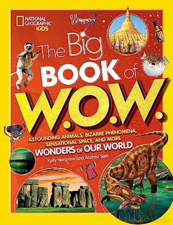 Big Book Of Wow - Andrea Silen [KSIĄŻKA]