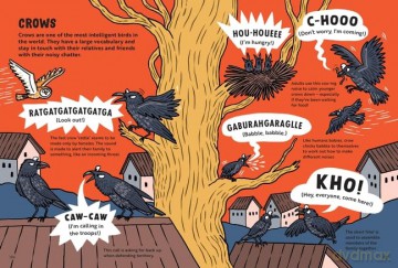 How To Chat Chicken - Nick Crumpton [KSIĄŻKA]