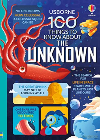About The Unknown - Alice Et Al James [KSIĄŻKA]