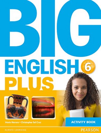 Big English Plus 6 Activity Book [KSIĄŻKA]