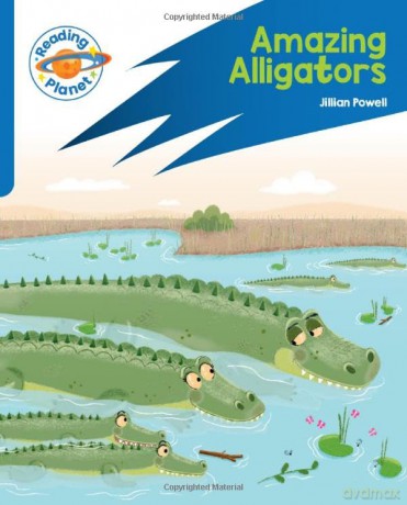 Amazing Alligators Target Practice Blue - Jillian Powell [KSIĄŻKA]
