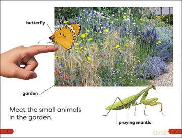 Garden Friends Pre Level [KSIĄŻKA]