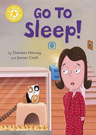 Go To Sleep - Damian Harvey [KSIĄŻKA]