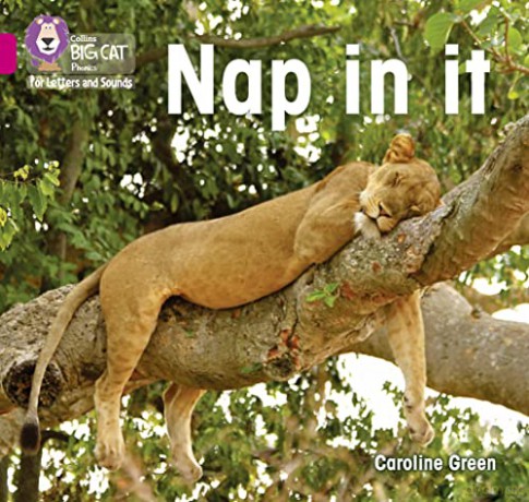 Big Cat L S Nap In It - Caroline Green [KSIĄŻKA]