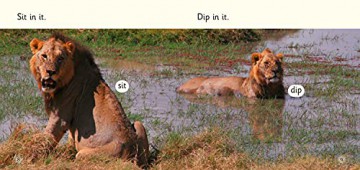 Big Cat L S Nap In It - Caroline Green [KSIĄŻKA]