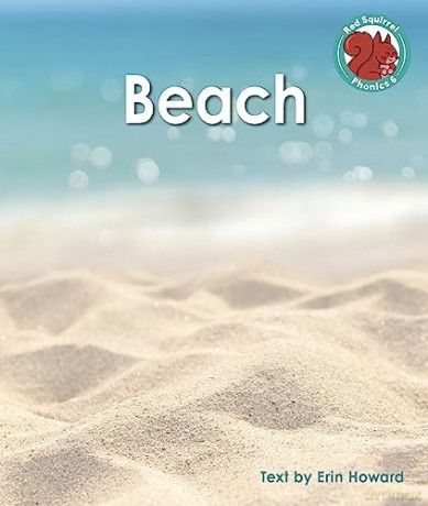 Beach - Erin Howard [KSIĄŻKA]
