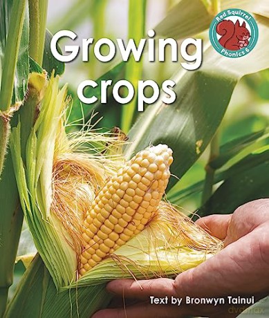 Growing Crops - Bronwyn Tainui [KSIĄŻKA]