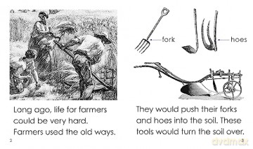 Growing Crops - Bronwyn Tainui [KSIĄŻKA]