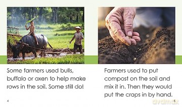 Growing Crops - Bronwyn Tainui [KSIĄŻKA]
