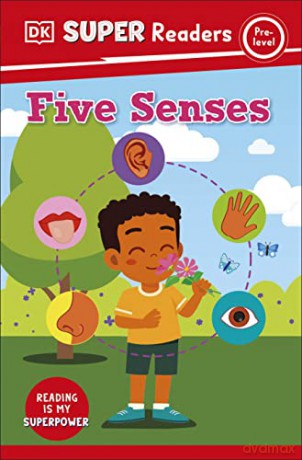 Five Senses Pre Level - Dk [KSIĄŻKA]