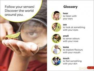 Five Senses Pre Level - Dk [KSIĄŻKA]