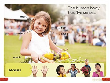 Five Senses Pre Level - Dk [KSIĄŻKA]